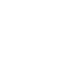 PEAK Logo